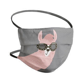 Mascarilla Homologada