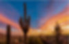 AZ landscape.jpg