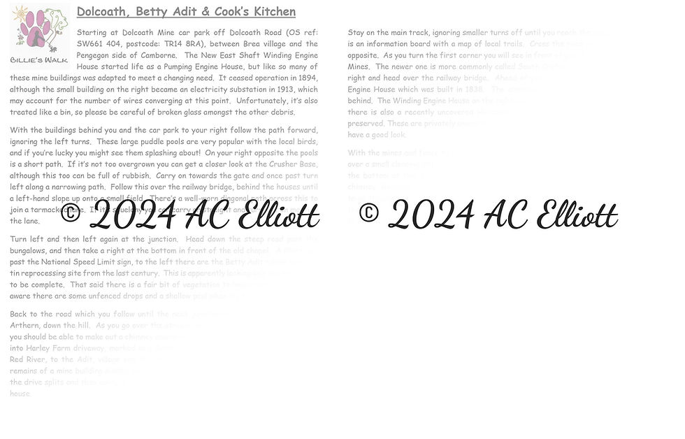 Thumbnail: Dolcoath, Betty Adit & Cook's Kitchen Walk  downloadable guide