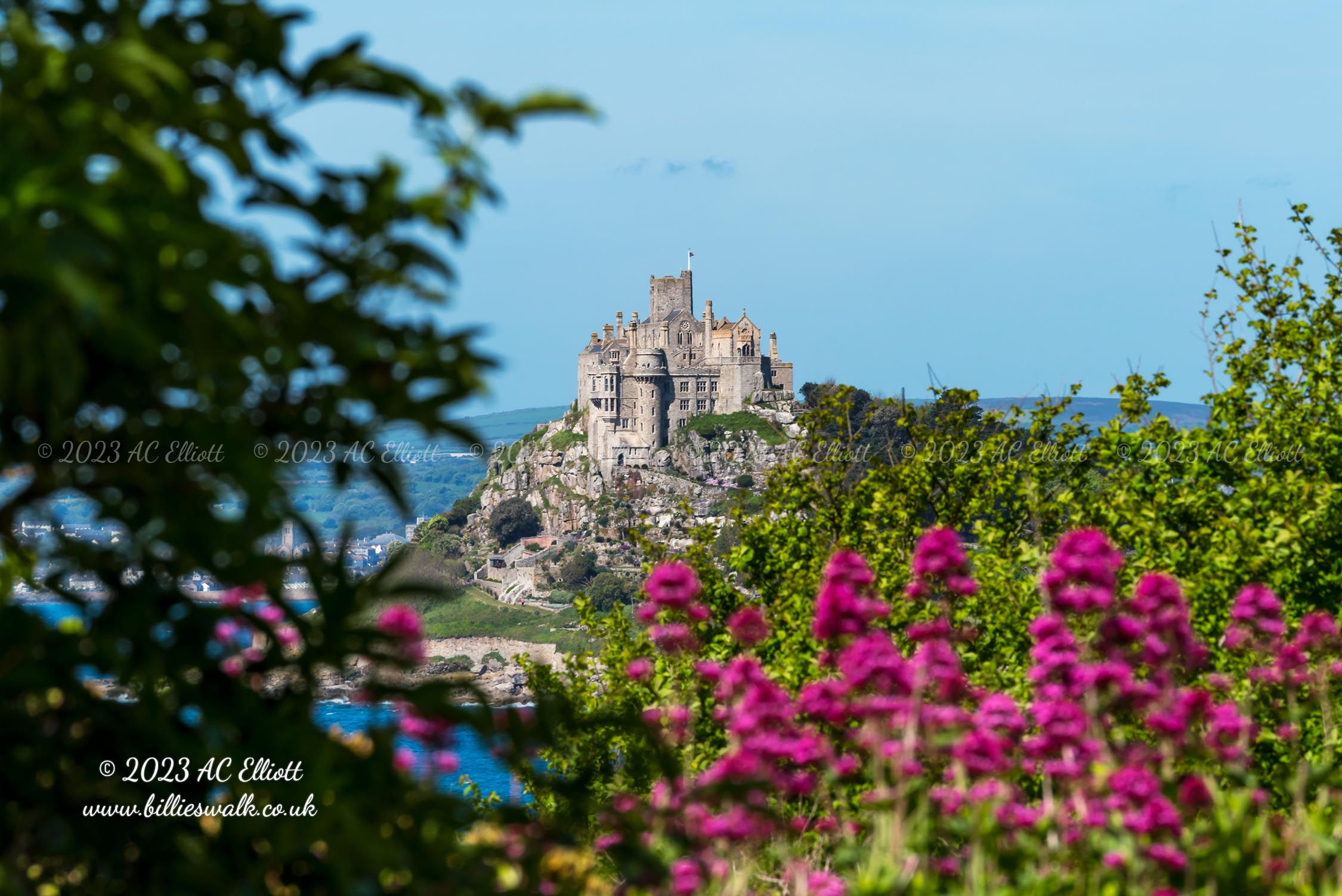 St Michael's Mount flowers