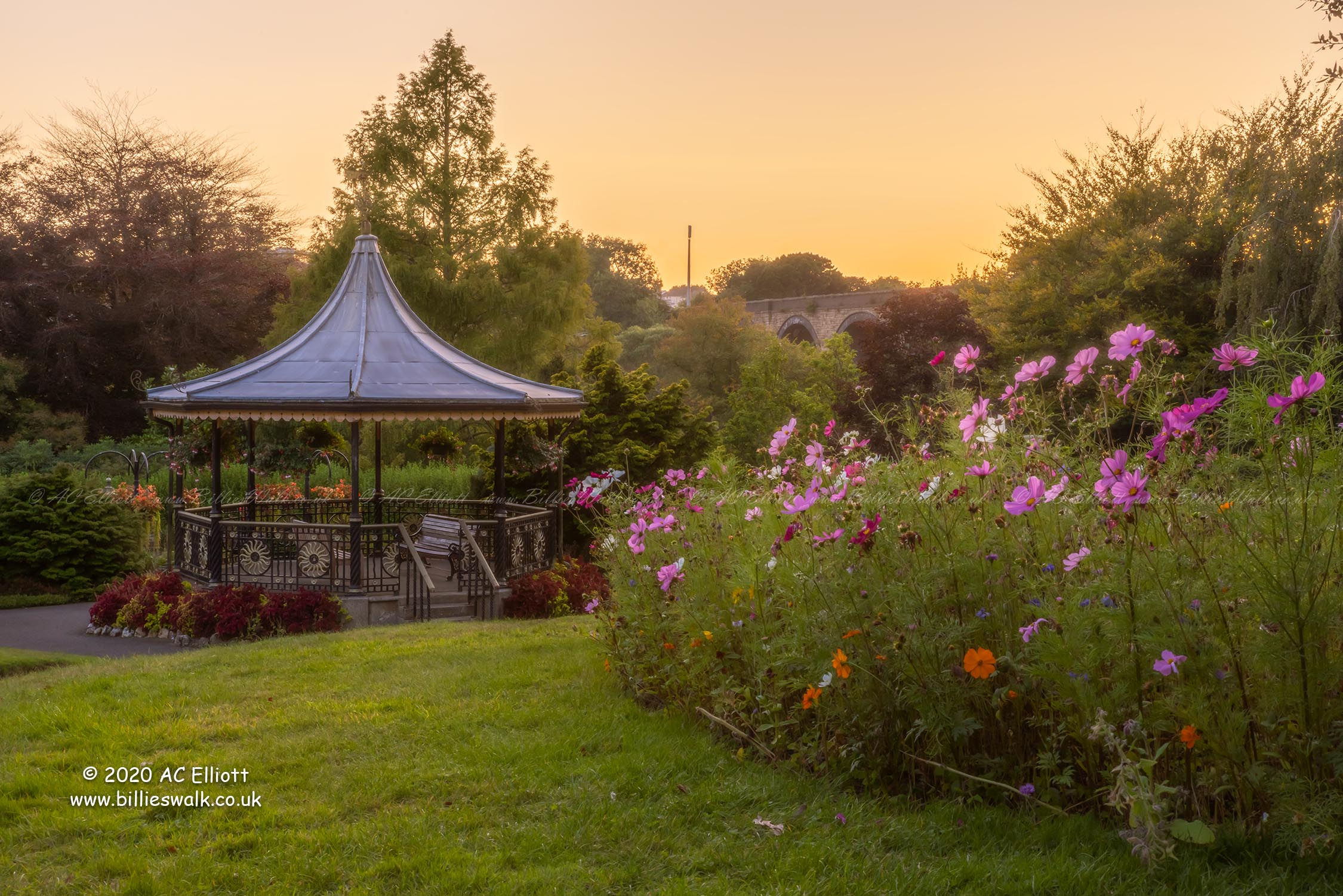 Victoria Gardens sunset glow photo and fine art print