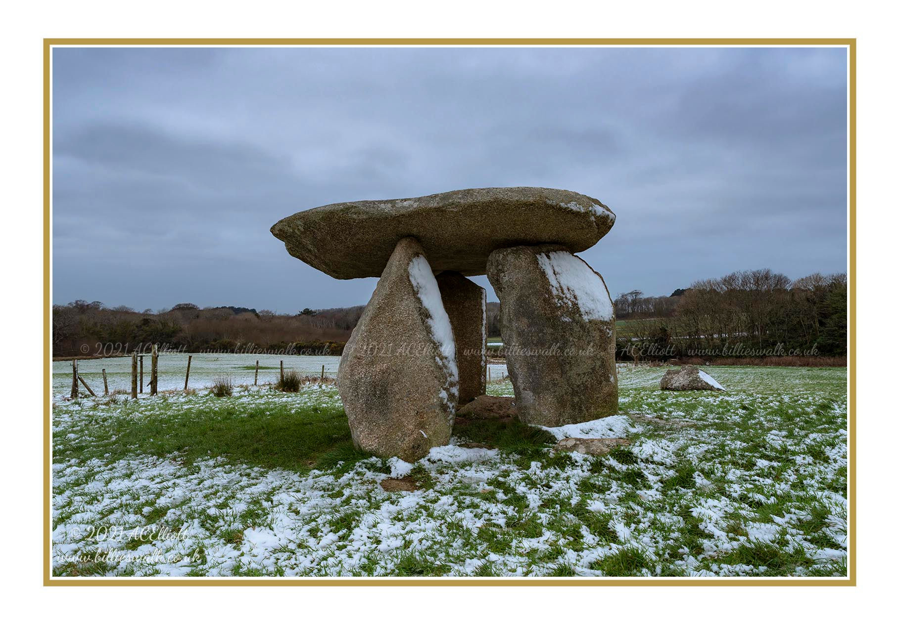 Charity Christmas Cards Pack F - Carwynnen Quoit & Stennack Woods