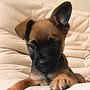 IMG_7442_edited.jpg
