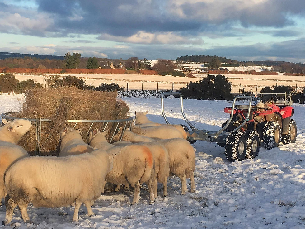 Thumbnail: Chapman Bale Transporter/ Trailer BT500