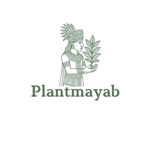 Foto del escritor: ortencia15pz