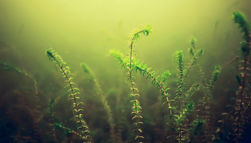 Untitled (400 × 500 px) (700 × 500 px) (700 × 450 px) (700 × 400 px).png