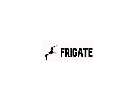 Frigate: Effiziente Videoüberwachung mit KI