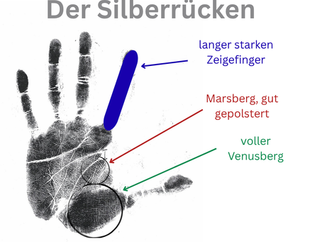 Ein Hand in welcher der Zeigefinger, Marsberg und Venusberg hervorgehoben sind