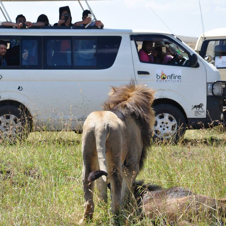 Thumbnail: EXPLORE THE WORLD WITH BONFIRE ADVENTURES KENYA