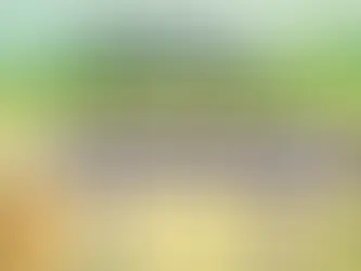 Alternatives to Bankruptcy