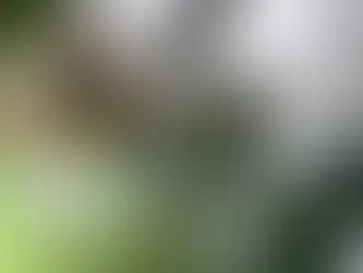 Is User Generated Content (UGC) the Future of Social Media Marketing