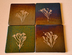 Coasters-Fossil Vitra