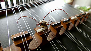 Joas Koukl Music Lessons Connecting Music