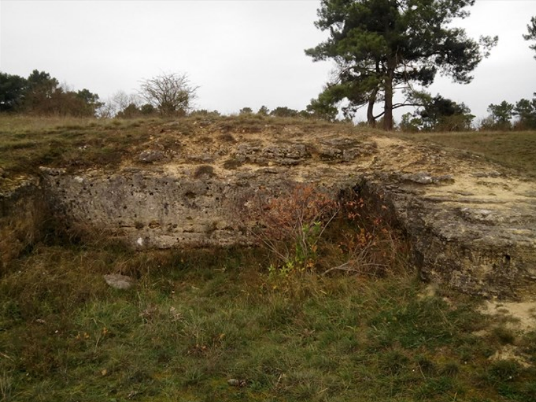 Limestone Puys Chinonaise.