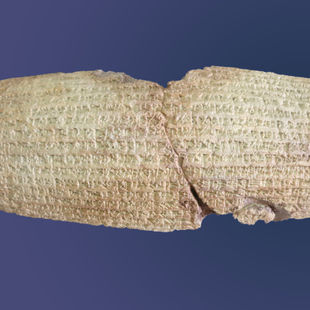 Newsletter July - August 2019