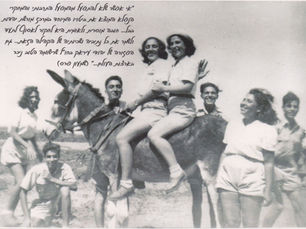 Nehardea No. 19, Spring 2014