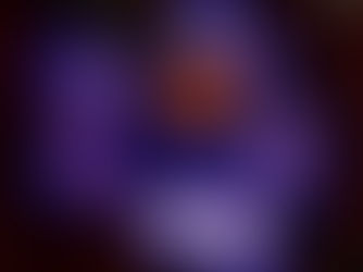 Nehardea No. 16, Spring 2008