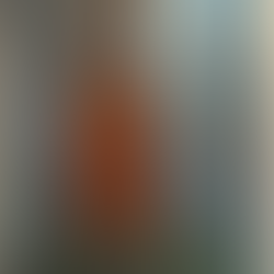 יהודית אנגלרד – מהגרת