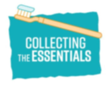 Collecting the Essentials dark_edited.jpg