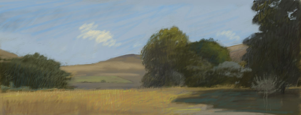 Field Background