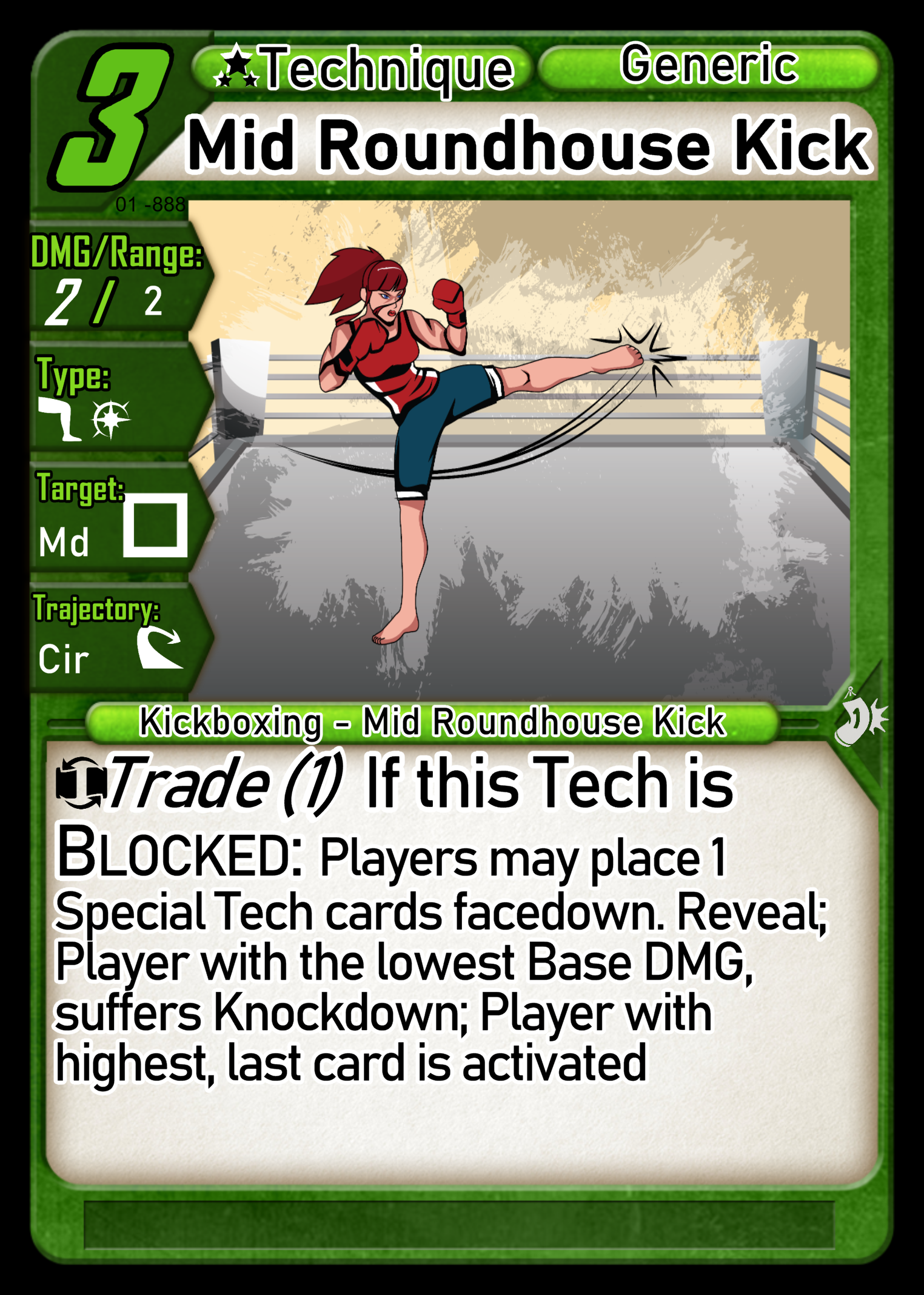 Mid Roundhouse Kick