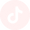tiktok.png