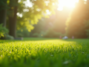 The Ultimate Guide to Your First Mow of 2026: Tips & Timing