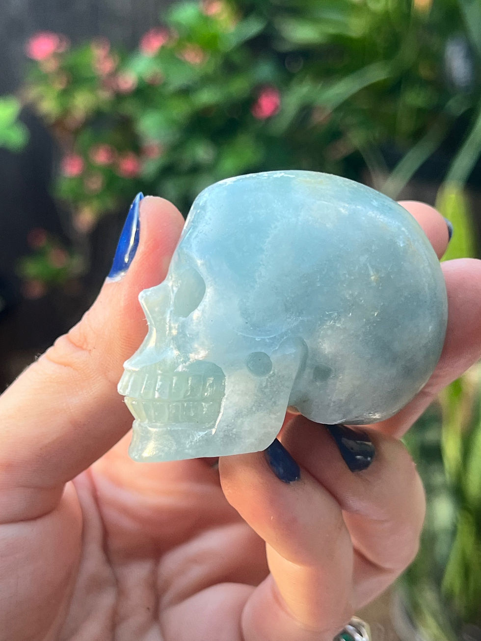 Thumbnail: Blue Onyx Dragon 