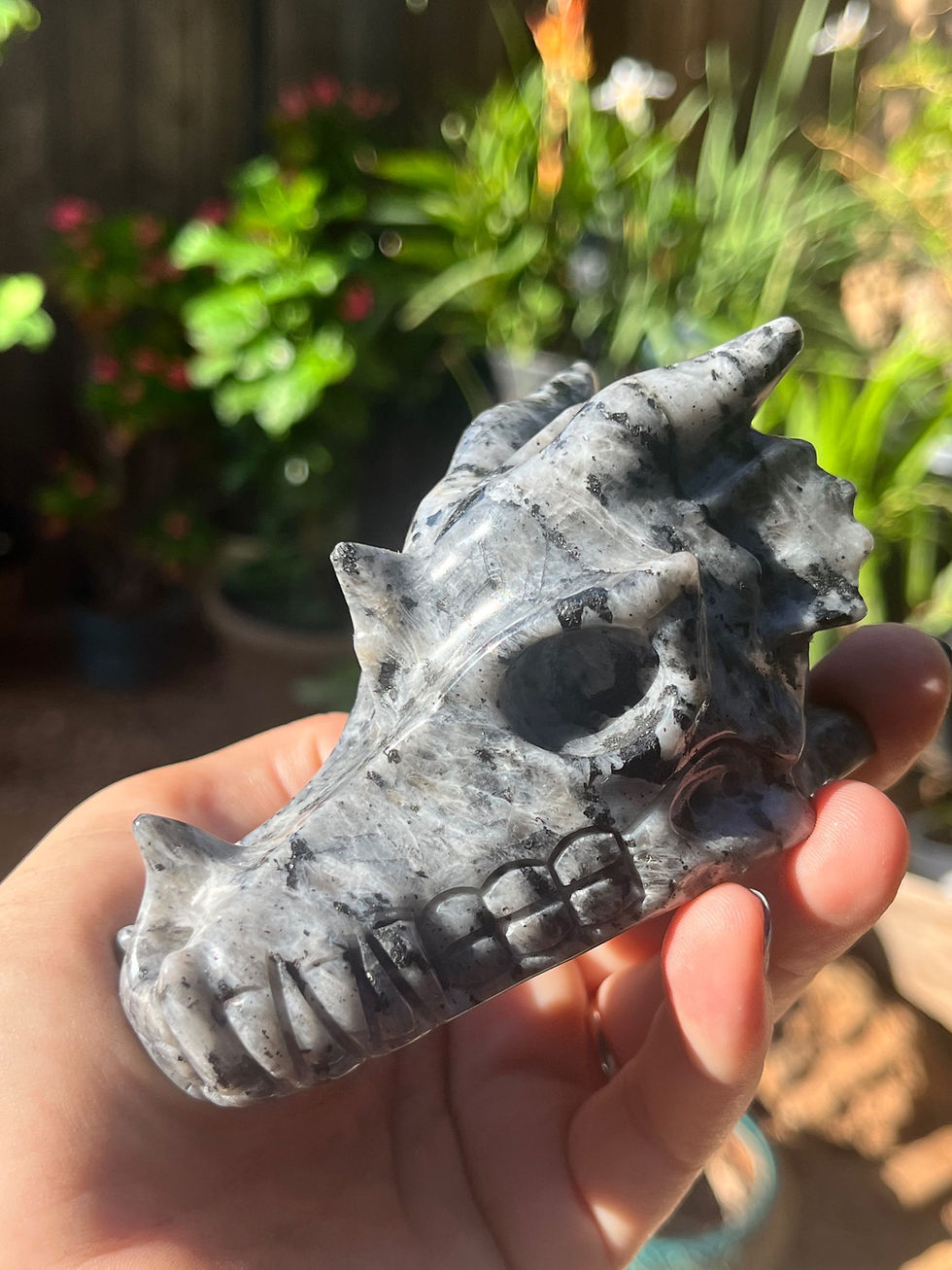 Thumbnail: Larvikite Dragon Carving 