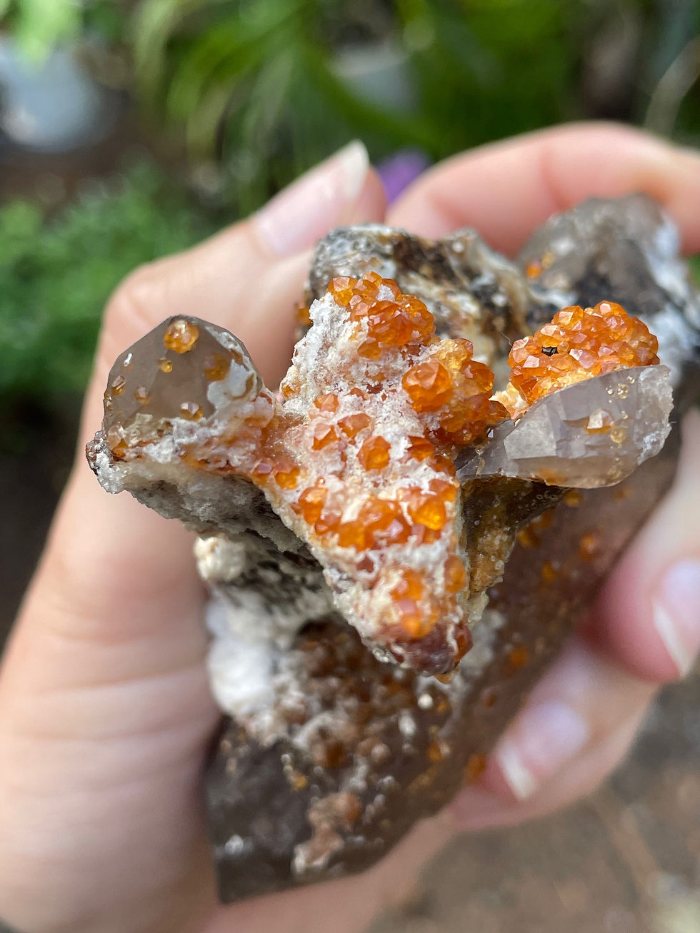 Thumbnail: Spessartine Garnet on Smoky Quartz 