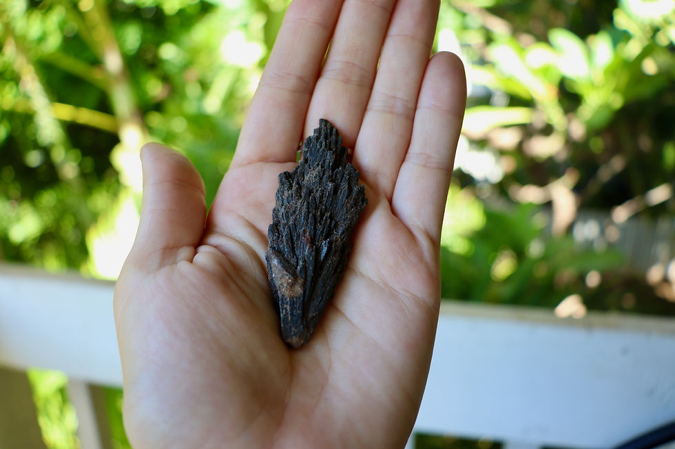 Thumbnail: Black Kyanite