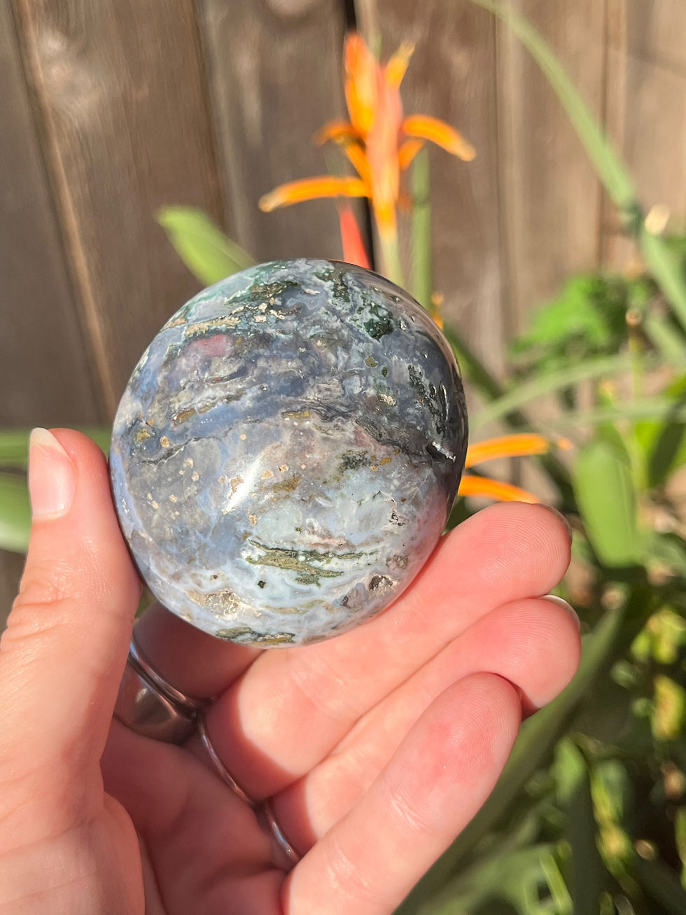 Thumbnail: Ocean Jasper Palm Stone 
