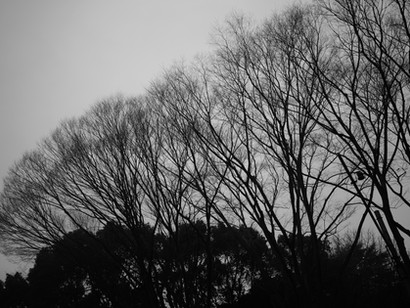 2021.1.12(火)初雪なの?