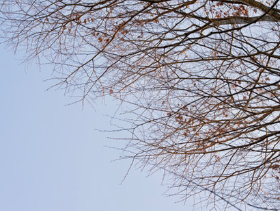 2021.1.6(水)新年早々