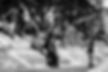 Dan_DLH-6.jpg