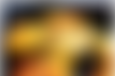 Gegrilde perzikken met frambozen coulis