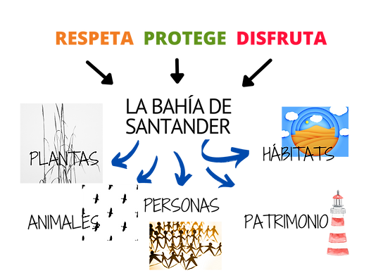RESPETA PROTEGE POSTAL.png