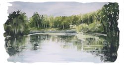 Carnet de voyage dans les 1000 Étangs