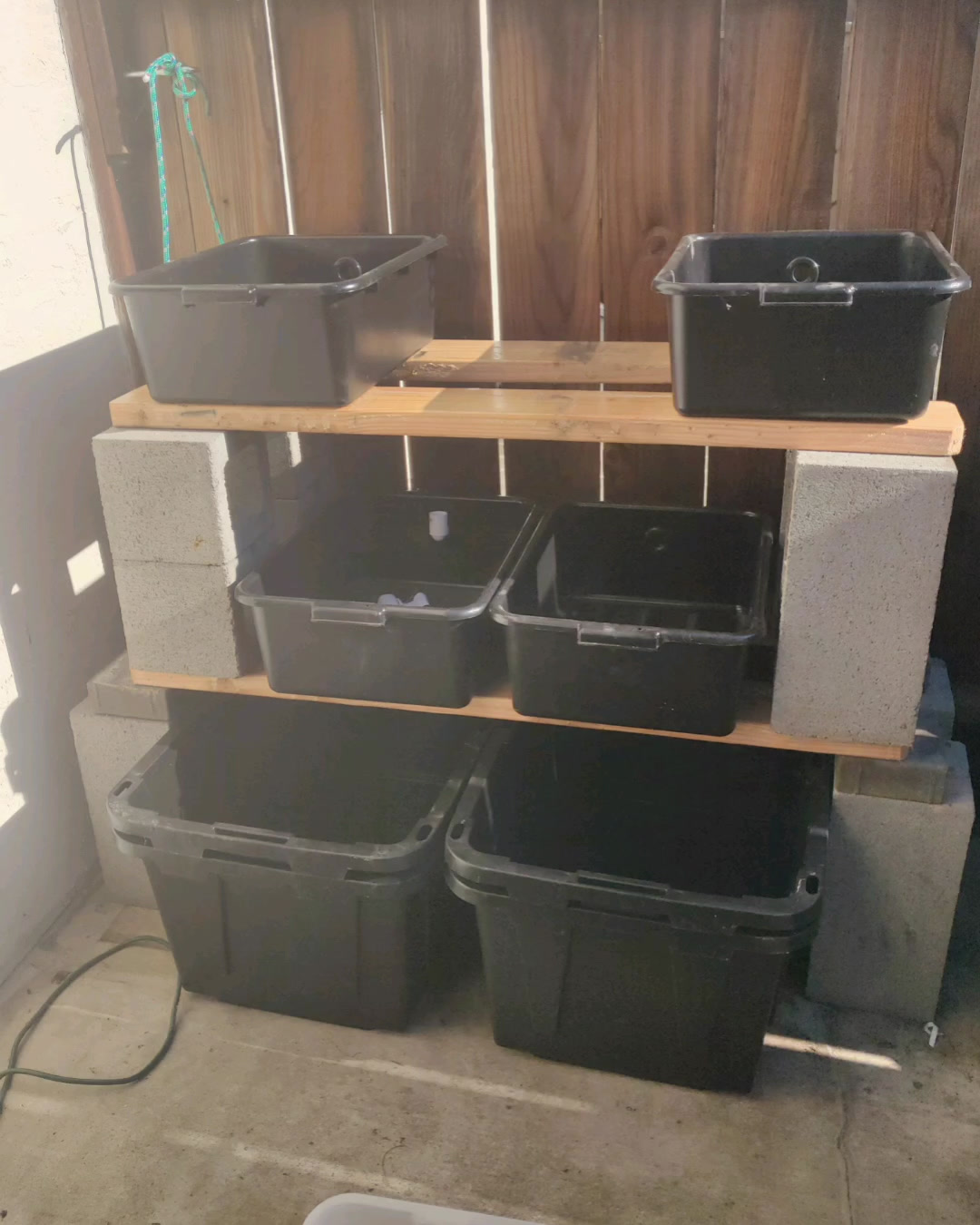 Finishing this year's breeding rack! content media