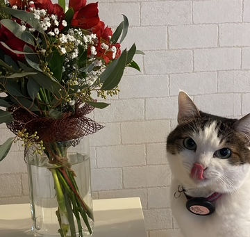 本年もありがとうございました<(_ _)>