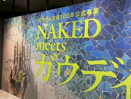 ガウディ展行ってきました。