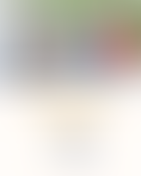 Sosyal Girişimcilik Yaz Kampı Tamamlandı