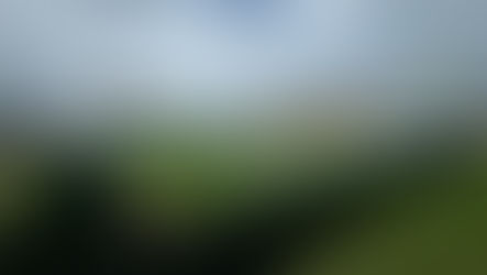 Bye Week Happenings: Eyes on the Competition