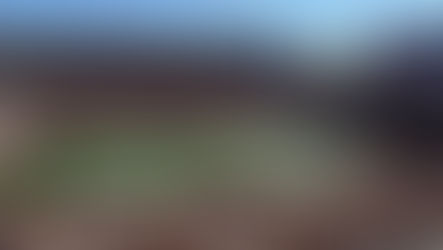 Pregame Notes Florida Gators (4-4, 2-3) v. Texas Longhorns 7-1, 3-1)