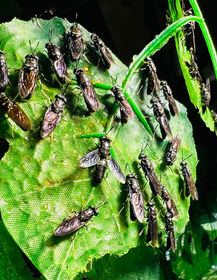 IMG_2661 2_edited.jpg