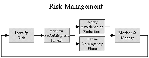 Risk1.gif