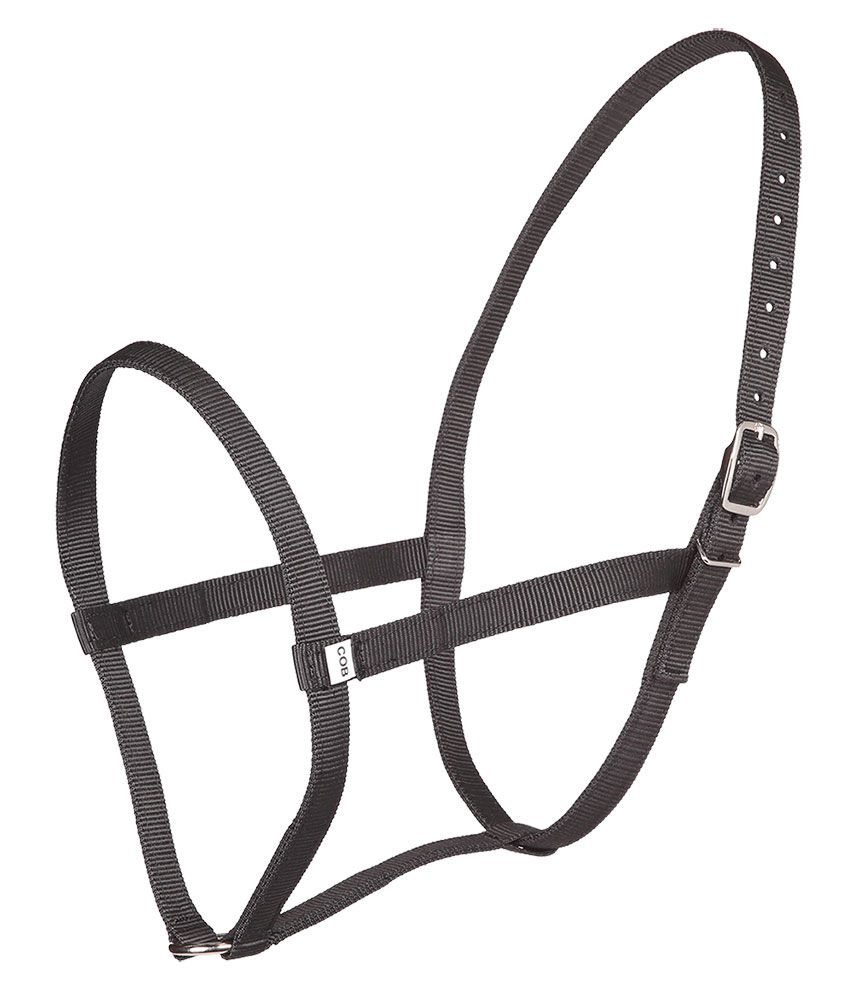 Web Underhalter