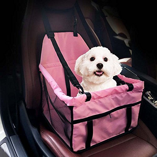 car safety