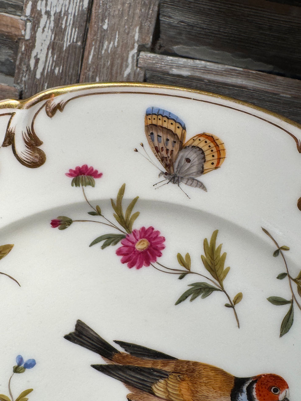 Miniature : Ancienne assiette en porcelaine décor aux oiseaux et insectes fin XIX Paris
