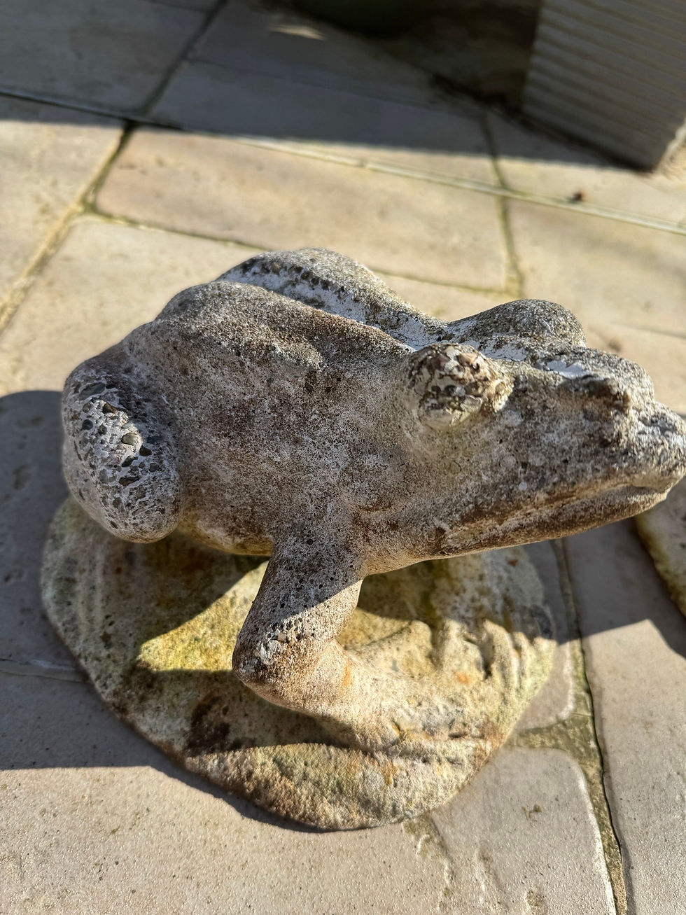 Miniature : grenouille et pigeon : animaux en pierre reconstituée Jardin vers 1950